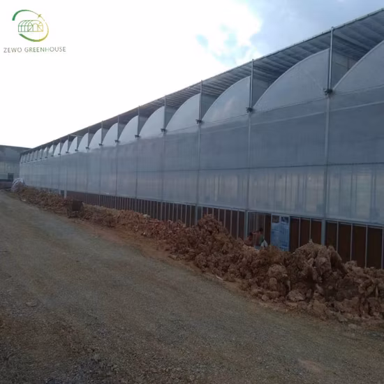 575W 고효율 Tier 1 Topcon 하프 셀 16bb 단결정 PV 태양광 모듈 패널(182mm 셀 포함)